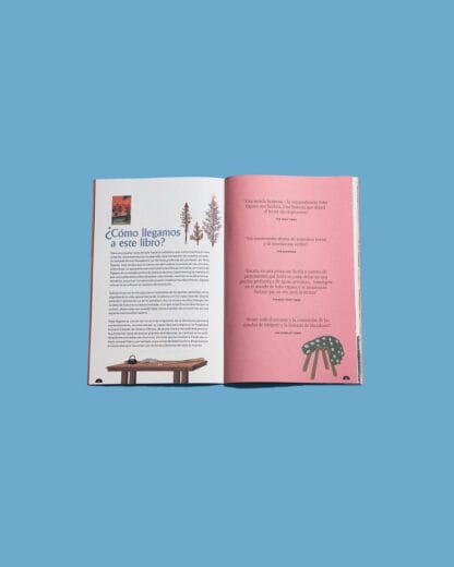 Caja literaria 29 - febrero 2026 - Image 3